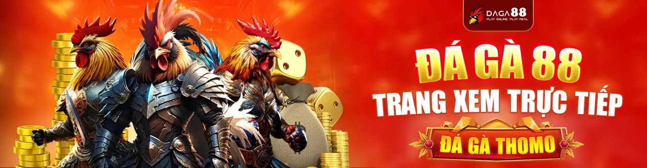 Đấu trường đá gà trực tuyến 8vnd sôi động