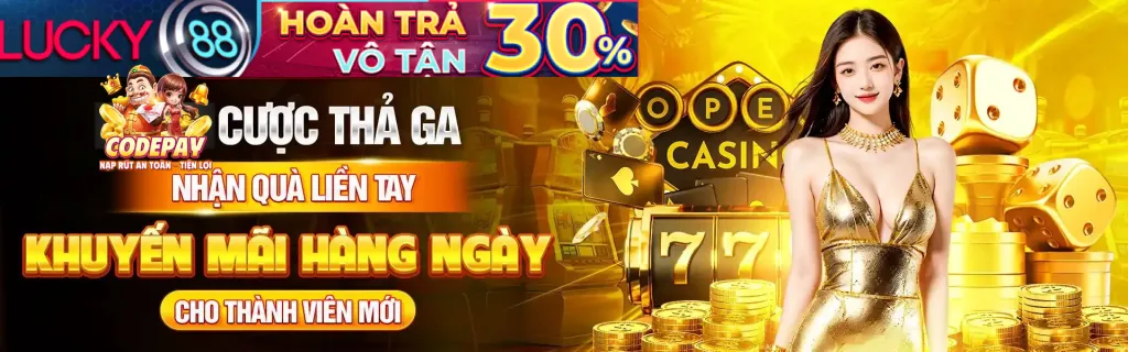 Hệ thống bảo mật của 8vnd